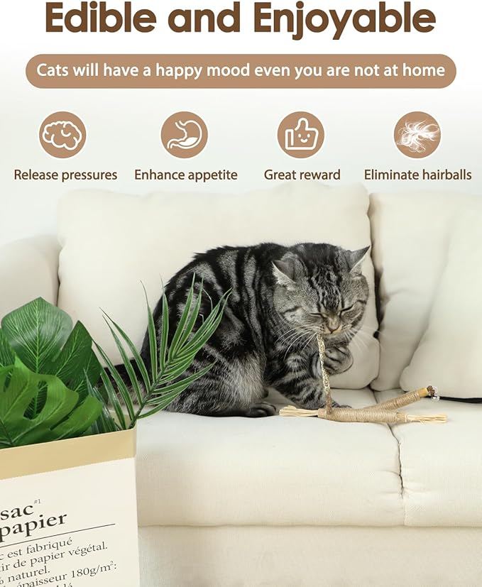 Tocirelo Cat Toys Silvervine Sticks - 10Pack Natural Catnip Toys for Indoor Cats, Catmint Silvervine Blend Kitten Chew Sticks, Matatabi Cat Dental Care Treats for Teeth Cleaning, Kitten Teething Toy
