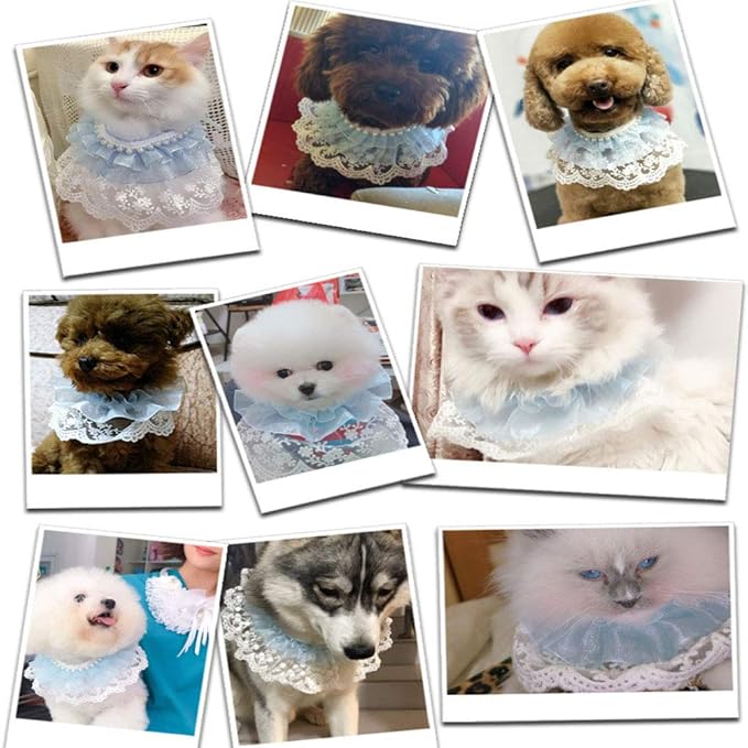 RayMinsin Pet Bandana CostumeCat Dog Cute lace Princess Saliva Towel Dog bib Scarf bib bib Small Dog cat Dress up Accessories (Blue)