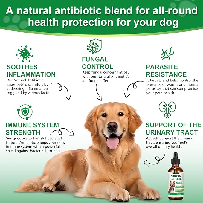 Antibiotics for Dogs,Natural Antibiotics for Dogs,Dog Antibiotic,Pet Antibiotic, Dog Multivitamin, Supports Allergy and Itch Relief,Dietary Supplement,Natural Herbal Supplement