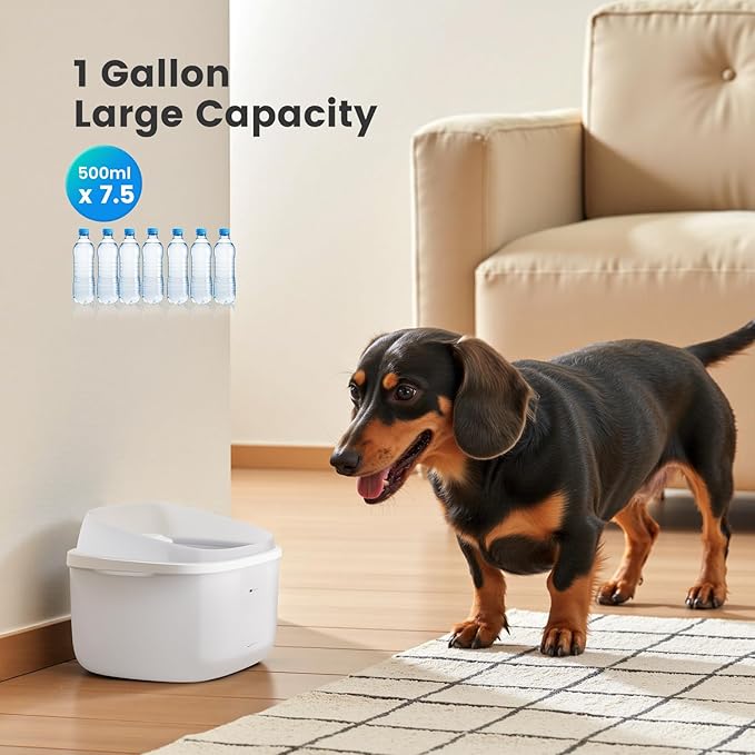 Gardner Pet 1 Gallon Pet Water Fountain, Vortex Dog Water Fountain, Ultra Quiet Automatic Cat Fountain with Filter, Transparent Tank, Splash-Proof, Easy to Clean,Without Adapter (White)