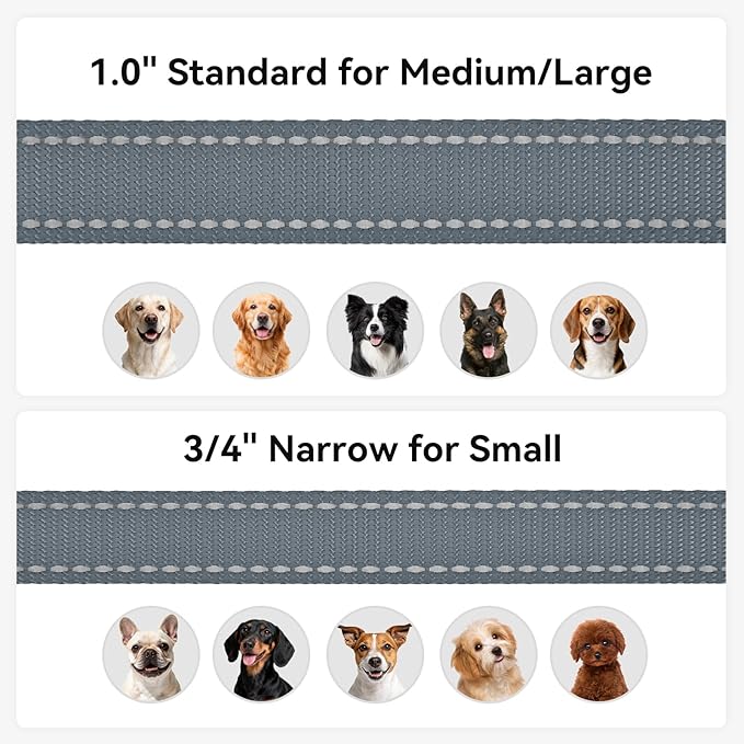 Joytale Dog Leash, 5 FT Double-Sided Reflective, Padded Handle Nylon Heavy Duty Leashes for Medium & Large Dogs Walking, Grey