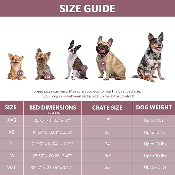 MidWest Homes for Pets QuietTime Fashion Dog Bed - Pink Faux Fur Bolster, Ultra-Soft and Machine Washable, Fits 24-Inch Crates and Carriers, for Small Breed Dogs