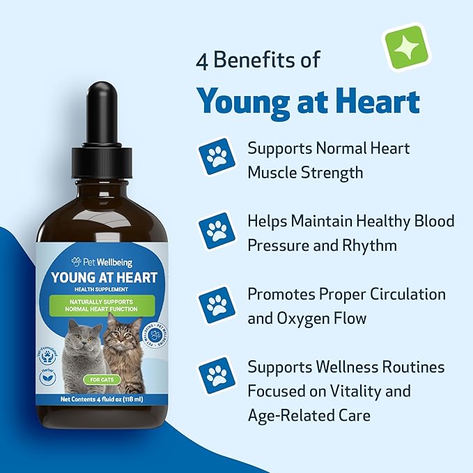 Pet Wellbeing Young at Heart for Cats - Heart Health, Circulatory & Cardiovascular System, Hawthorn, Motherwort, Schisandra - Veterinarian-Formulated Herbal Supplement 4 oz (118 ml)