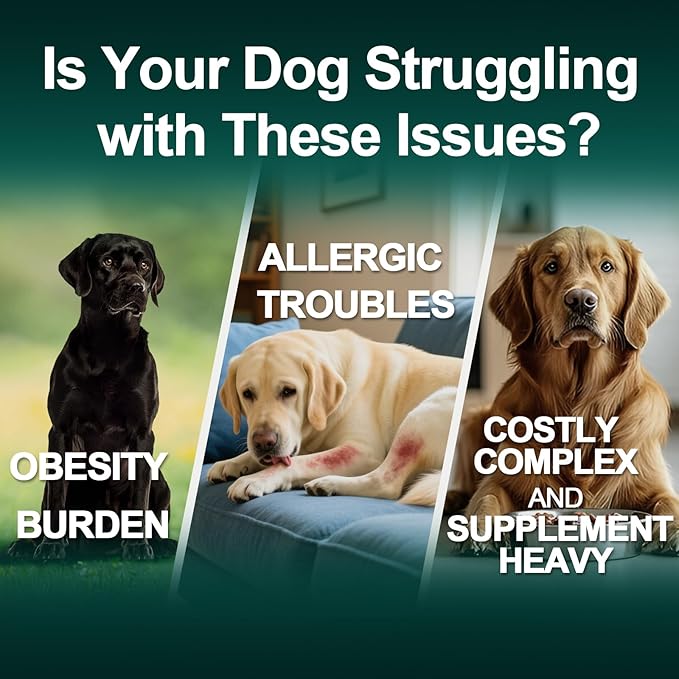 Dog Allergy Relief Chews Itching Skin is Human Multivitamin Pet Allergy Anti Itch Paw Relief and Immune Dog Chews Bites Antihistamine for Dogs Itching and Licking Weight Loss Management Support 200