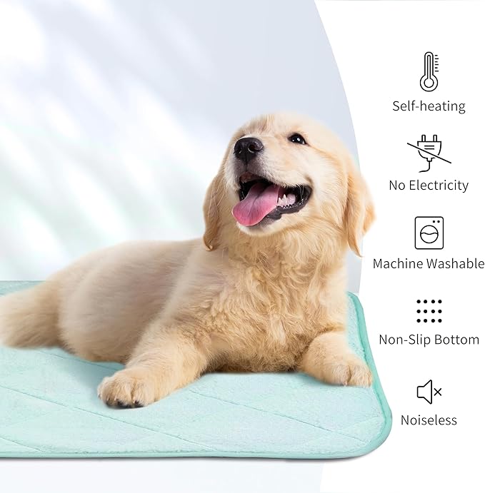 NWK Fluffy Self Warming Cat Mat, Cat Blanket, Thermal Dog Mat, Washable, Non-Slip Bottom for Sofa & Crate & Kennel & Car Seat (Mint Green, X-Large (45'' X 28'' X 0.4''))