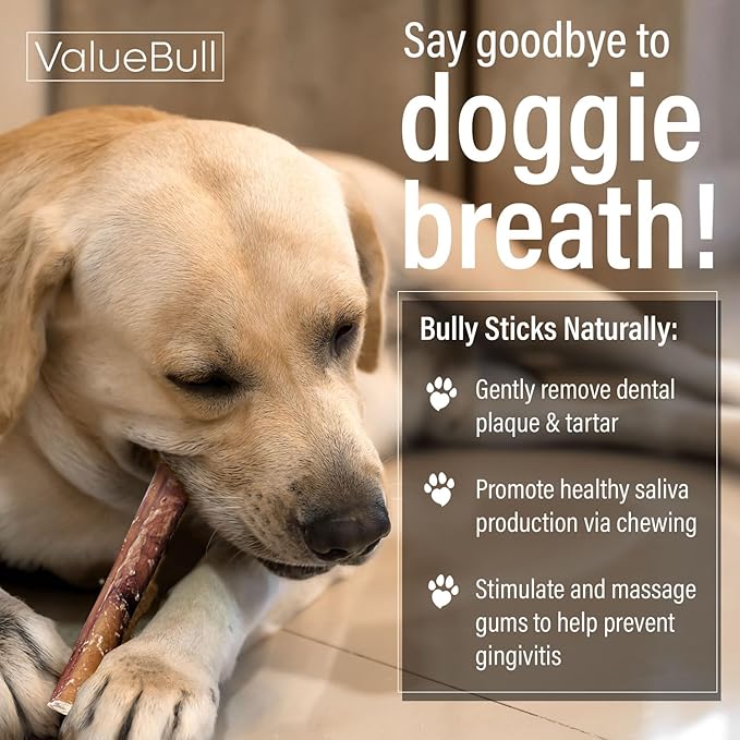 ValueBull Bully Sticks for Small Dogs, Thin 6 Inch, 50 Count - All Natural, Grass Fed, Single Ingredient, Long Lasting Dog Treats