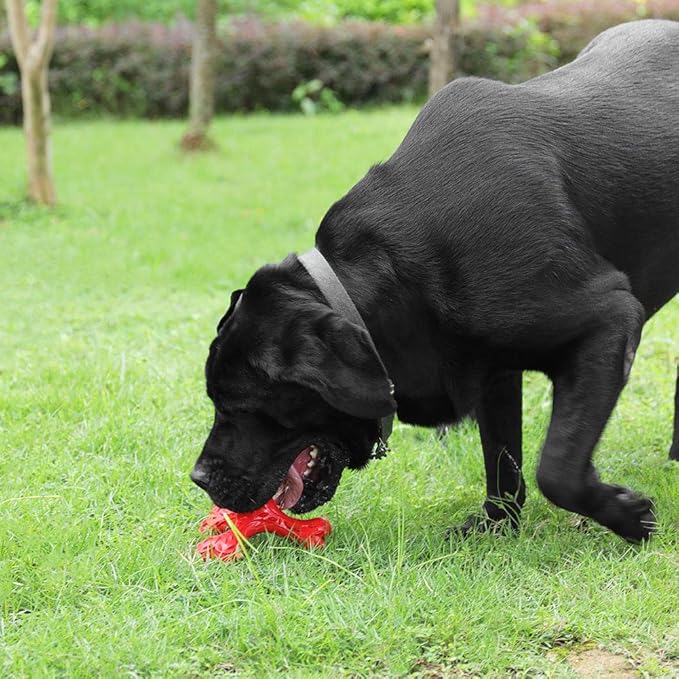 CVALIN Dog Chew Toys for Aggressive Chewers Large Breed,Indestructible Bones Toy,Durable Cleaning Toothbrush Natural Rubber Dog Toys… (Red)