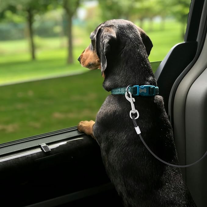 Mogoko Chew Proof Dog Car Seatbelt Safety Restraint Pet No-Chew Tether Cable Stainless Steel Dog Leash Puppy Vehicle Seat Belt Strap with Double Clip and Latch Attachment (16 inch) Black