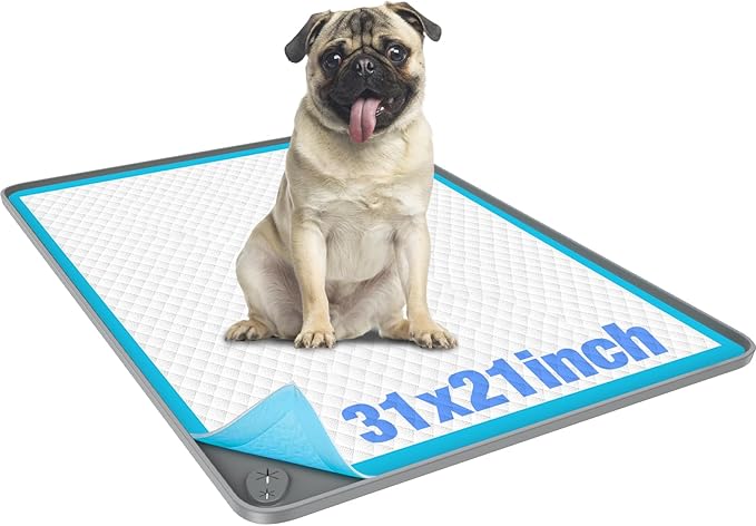 Aisslro Pet Feeding Mat, 31”x21” Absorbent Pet Placemat for Food and Water Bowl, Non-Slip Silicone, Leak-Proof Floor Protection for Quick Dry Water Dispenser Mat for Dog and Cat, Grey