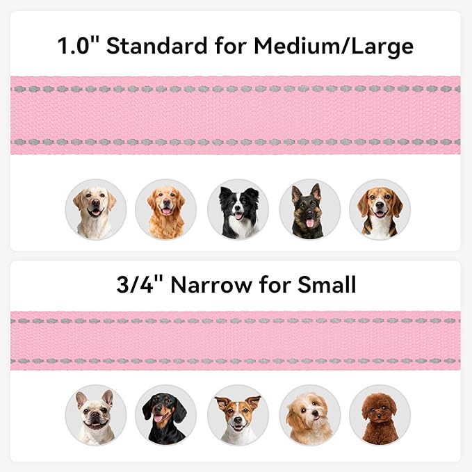 Joytale Dog Leash, 5 FT Double-Sided Reflective, Padded Handle Nylon Heavy Duty Leashes for Small Dogs Walking, Pink
