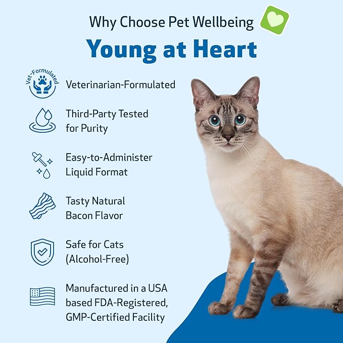 Pet Wellbeing Young at Heart for Cats - Heart Health, Circulatory & Cardiovascular System, Hawthorn, Motherwort, Schisandra - Veterinarian-Formulated Herbal Supplement 2 fl oz (59 ml)