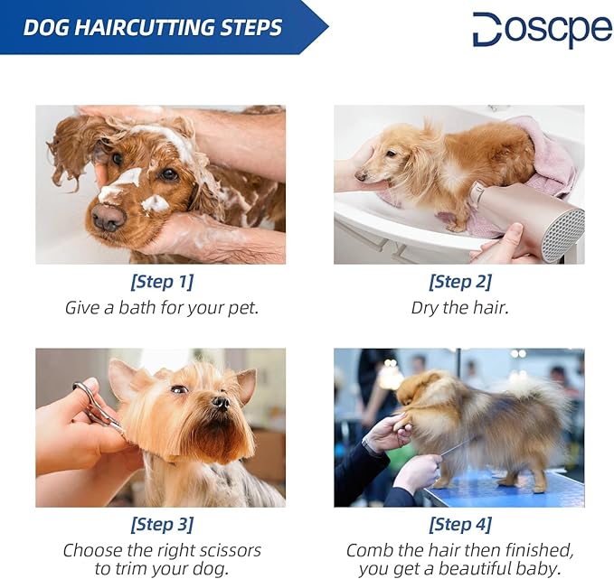 Doscpe 6 in 1 Professional Dog Grooming Scissors Set Pet Hair Cutting Shears Kit, Stainless Steel with Safe Rounded Tips for Dog Cat Other Animals, Right Left Handed
