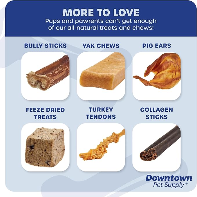 Downtown Pet Supply USA-Made 12", 8 Oz. Jumbo Bully Sticks for Large Dogs - Rawhide Free Dog Chews Long Lasting and Non-Splintering - Single Ingredient, Low Odor Bully Sticks for Medium Dogs