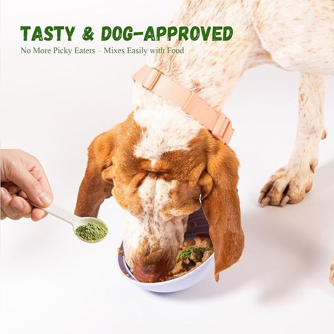 Dog Teeth Cleaning Powder, Dog Dental Powder for Teeth Cleaning and Dog Breath Fresh for Dogs with Probiotic & Tartar Remover, Plaque Off Dog Tooth Cleaning
