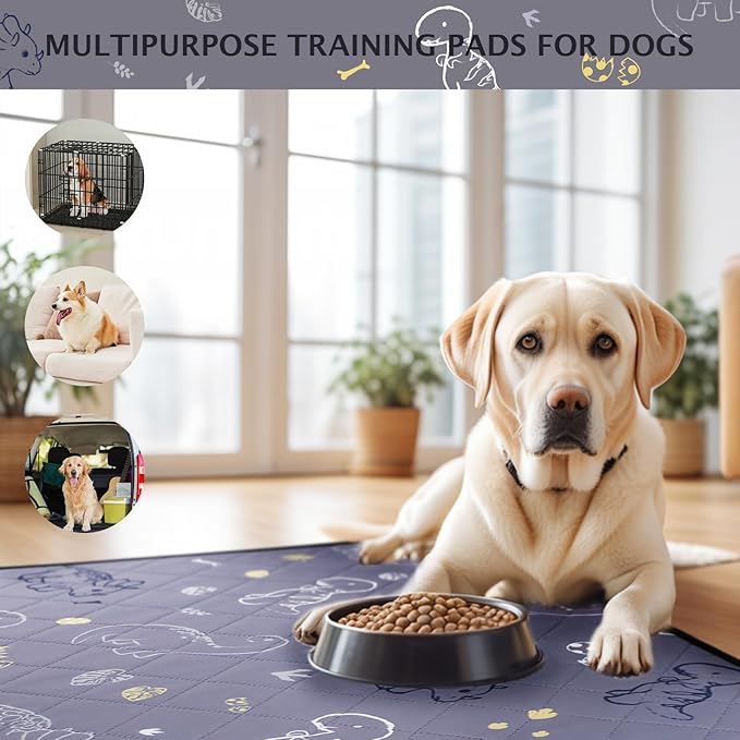 IEUUMLER Washable Pee Pads for Dogs, 2 Pack Non-Slip & Waterproof Whelping Pad, Reusable Puppy Potty Training With Fast Absorbent for Playpen EU007 (Gray Dinosaur, 31"X36"-2pcs)