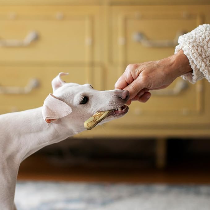 Wildfang® Coffee Wood Dog Chew, Medium - Tough Chew Toys for Aggressive Chewers, Dog Teething Toys for Puppies, Training for Chewing Muscles, Coffee Tree Sticks for Medium Dogs (33-55 lbs), Pack of 3