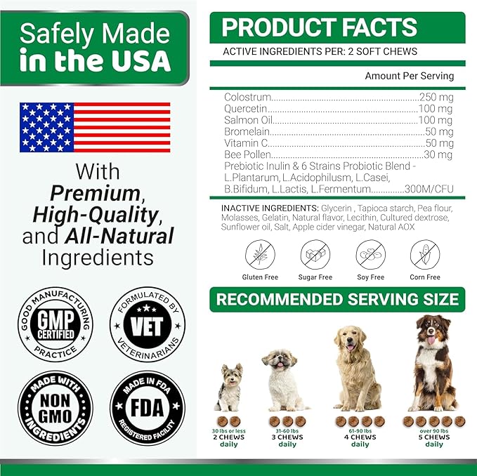 2-Pack Dog Allergy Relief Chews - Dog Itching Skin Relief Treatment Pills - Anti-Itch Chewables - Itchy and Paw Licking - Hot Spots - Omega 3 Fish Oil - Dry Skin & Coat Supplement