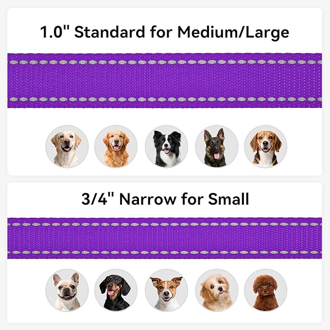 Joytale Dog Leash, 5 FT Double-Sided Reflective, Padded Handle Nylon Heavy Duty Leashes for Medium & Large Dogs Walking, Purple