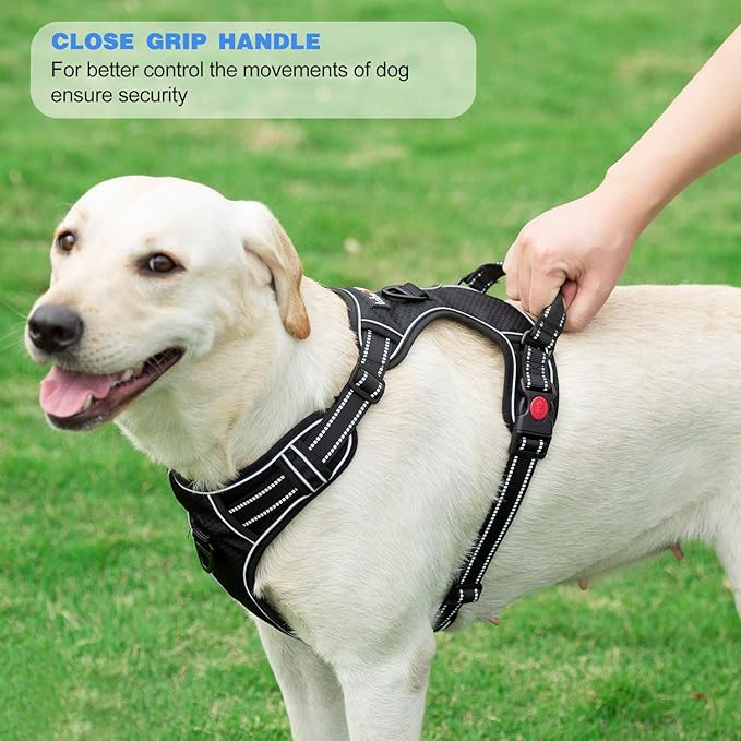 No Pull Dog Harness Adjustable Reflective Oxford Easy Control Medium Large Dog Harness with A Free Heavy Duty 5ft Dog Leash (M (Neck: 15.5"-19", Chest: 22"-25"), Orange Harness+Leash)