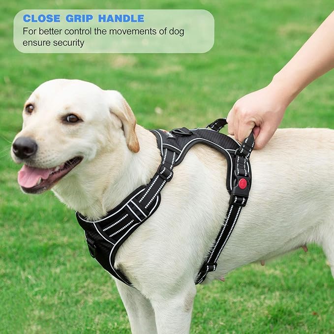 No Pull Dog Harness Adjustable Reflective Oxford Easy Control Medium Large Dog Harness with A Free Heavy Duty 5ft Dog Leash (XL (Neck: 22"-32", Chest: 31"-38"), Orange Harness+Leash)