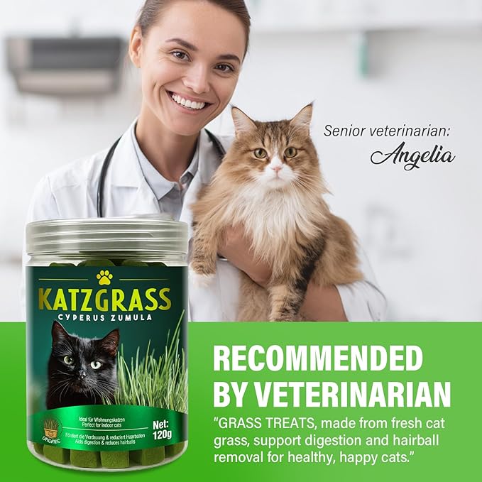 Cat Grass Treats, Natural & Health Cat Treats, Natural Hairball Relief & Teeth Cleaning Chews for Indoor Cats