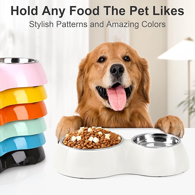 PetVillage Elevated Dog Bowls Set - Non-Slip Raised Pet Feeder with Medium (10 oz) & Large (20 oz) Stainless Steel Bowls - Includes Durable Resin Stand for Corgi Puppies and Adult Cats - White