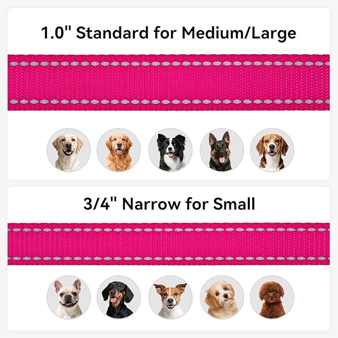 Joytale Dog Leash, 6 FT Double-Sided Reflective, Padded Handle Nylon Heavy Duty Leashes for Small Dogs Walking, Hotpink