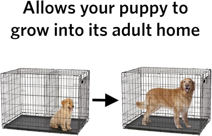 MidWest Homes for Pets Dog Crate Divider Panel for 54-inch Crates, Adjust Crates Living Space, Fits Midwest Cage Models 1154, SL54DD, Black E-Coated, 1154DPN