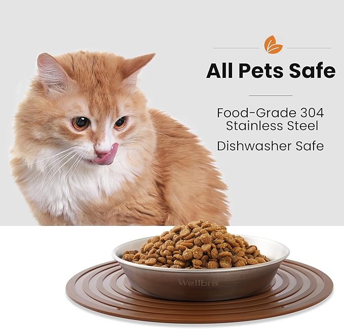 Wellbro Cat Food Bowls, 2 Pcs Stainless Steel Cat Food and Water Bowls, Whisker Fatigue Shallow Cat Dishes, Small Dog Puppies Fat Faced Cat Kitten Supplies