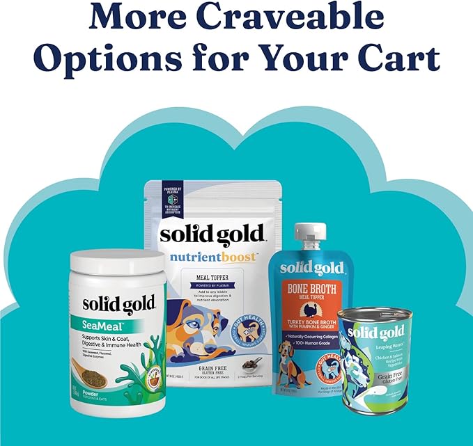 Solid Gold Sensitive Stomach Dog Food for Adult & Senior Dogs - Grain Free Healthy Dog Food w/Real Quail, Pumpkin, Fiber & Probiotics for Gut Health & Digestion - Kibble for Sensitive Stomachs - 24LB