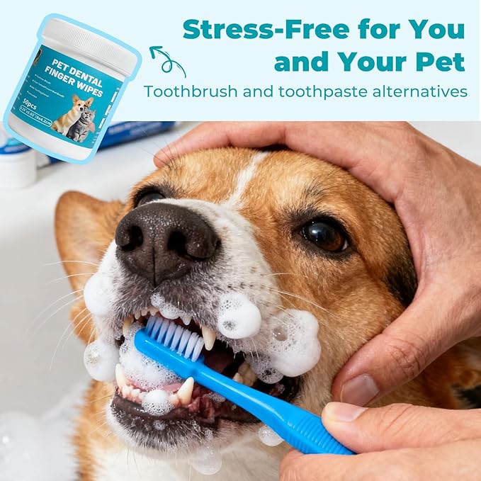 Falatong Pet Teeth Cleaning Finger Wipes for Cats and Dogs, Unscented Tartar Control with Tea Polyphenol, Fresh Breath, 50 Count