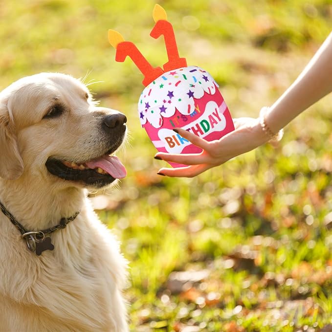 Dog 11th Birthday Cake Toy Accessories for Girl Boy Gifts, Pink Squeaky Plush Toy for Dog Birthday Party Decor Favor for Large, Medium and Small Dogs