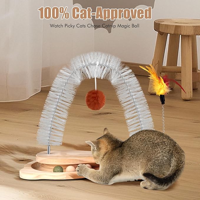 Cat Self Groomer Scratcher, Indoor Cats Rubbing Post Face Back Arch Grooming Massager Brush for Shedding with Kitten Interactive Catnip Ball Track Toy for Chasing Hunting Mental Physical Exercise