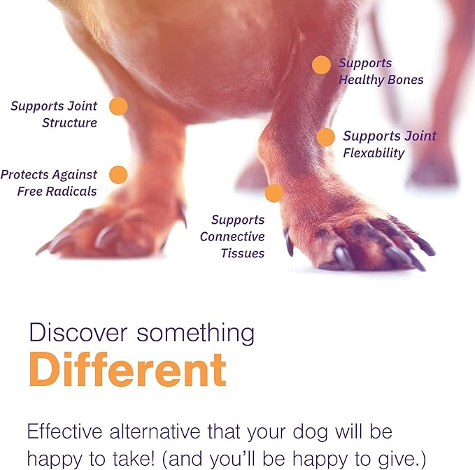 MOVOFLEX Soft Chews Hip and Joint Support Supplement for Small Dogs 60 Count by Virbac
