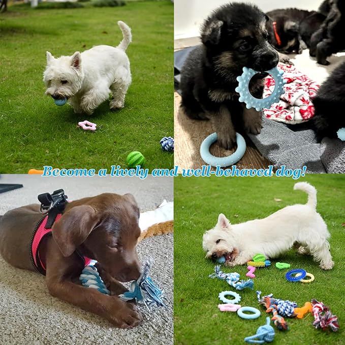 20 Pack Puppy Chew Toys for Teething & Fun (Chew Toys for Puppies 0-6 Months Bundle with Various Rubber Rings, Rope Toys and Balls for Interactive Play, Teeth Cleaning & Relief