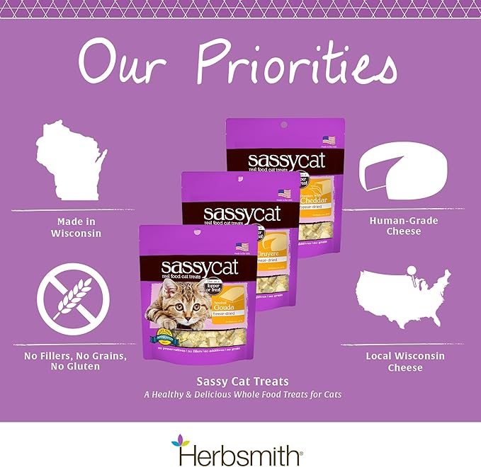 Herbsmith Sassy Cat Treats – Freeze Dried Gruyere – Human-Grade Wisconsin Cheese – Natural Snack for Picky Eaters – 1 Ingredient – USA Made – 4.7 oz