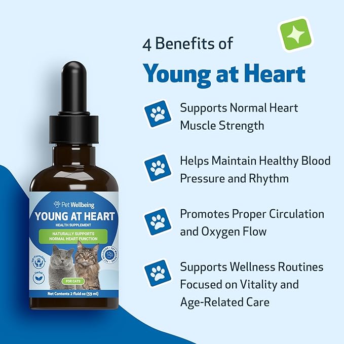 Pet Wellbeing Young at Heart for Cats - Heart Health, Circulatory & Cardiovascular System, Hawthorn, Motherwort, Schisandra - Veterinarian-Formulated Herbal Supplement 2 fl oz (59 ml)