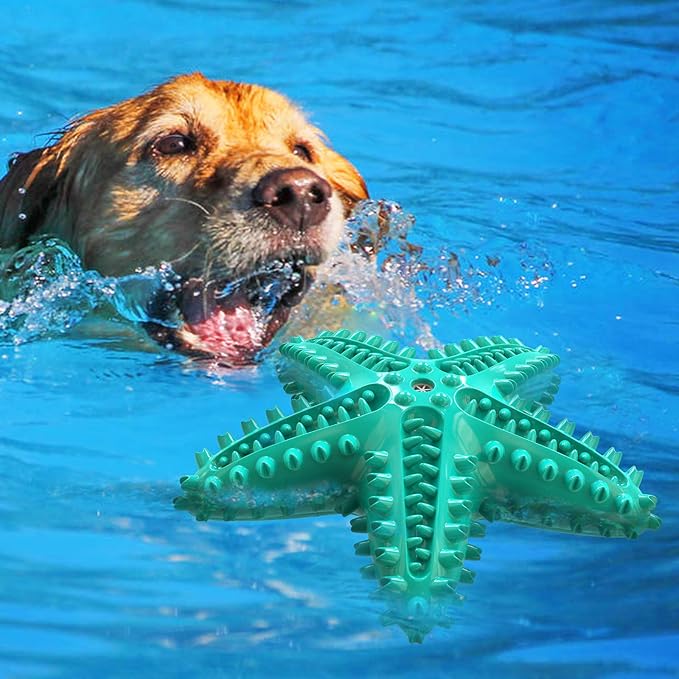 LiuMelinda Dog Chew Toys for Aggressive-Chewers - Indestructible Dog Toy for Aggressive Chewer,Tough Chew Toys for Dogs (Rubber Blue-Starfish)