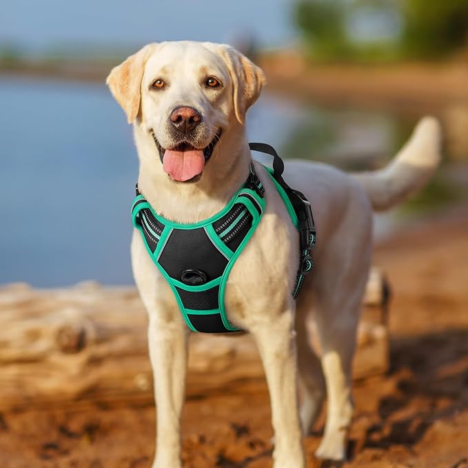 rabbitgoo Dog Harness No Pull with 2 Leash Clips, Adjustable Soft Padded, Reflective Oxford No Choke Pet Vest with Easy Control Handle for Small Dogs, Black & Turquoise, S