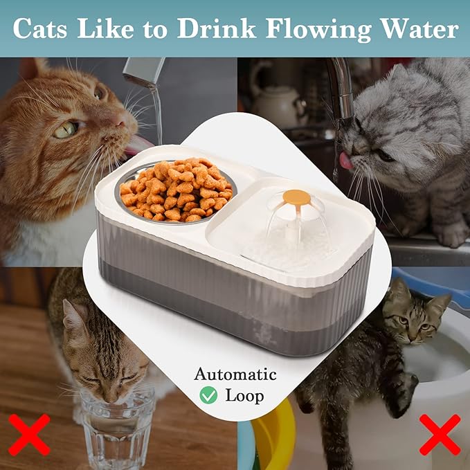 Cat Water Fountain - Super Quiet Automatic Pet Water Dispenser, 100oz/3L with Stainless Steel Cat Bowls and Long Life Span Pump
