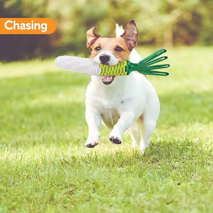Dog Rope Toy, Tug of War Dog Toy, Cute Carrot Dog Toy with Crinkle Paper Tags, Radish