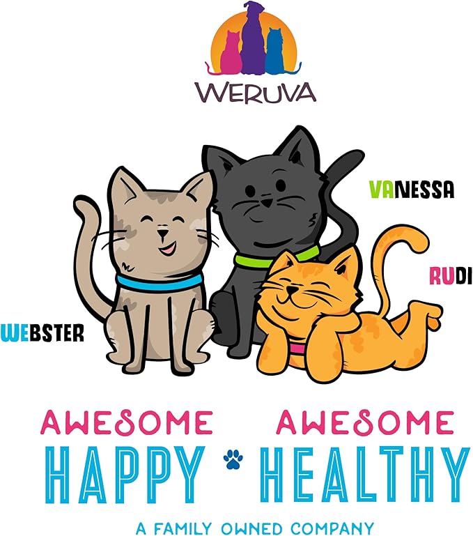 Weruva B.F.F. OMG - Best Feline Friend Oh My Gravy!, Chicken & Salmon Stir It Up with Chicken & Salmon in Gravy, 5.5oz Can (Pack of 8)