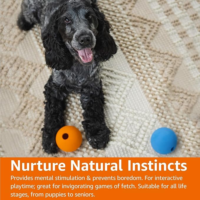 Amazon Basics Dog Toys, Interactive Fetch Rubber Balls, (Pack of 2), 3 inch, Blue, Orange