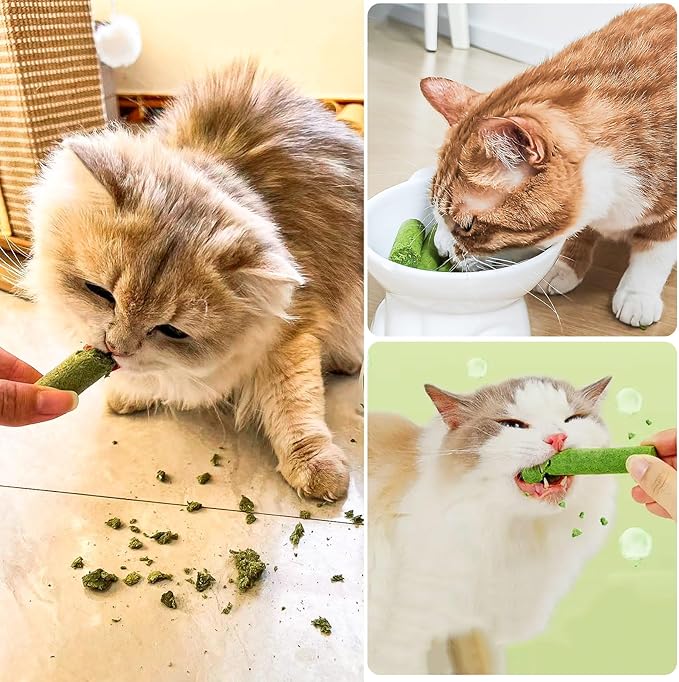 Freezed Drying Cat Grass Stick, Cat Grass Teething Sticks Snacks for Cats, Edible Dry Cats Treats for Teeth Cleaning and Hairball Removal, Made in USA