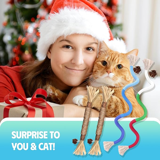 GBSYU Cat Toys Chew Rope & Silvervine Sticks for Bored Indoor Adult Cats, 2Pcs Interactive Catnip Toys for Cats with Refillable Natural Catnip Bag for Teeth Cleaning