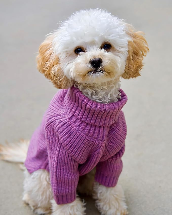 Fitwarm Thermal Knitted Dog Sweater Doggy Winter Coat Pet Clothes Doggie Turtleneck Jacket Puppy Outfits Cat Sweatsuit Lavender Purple Medium