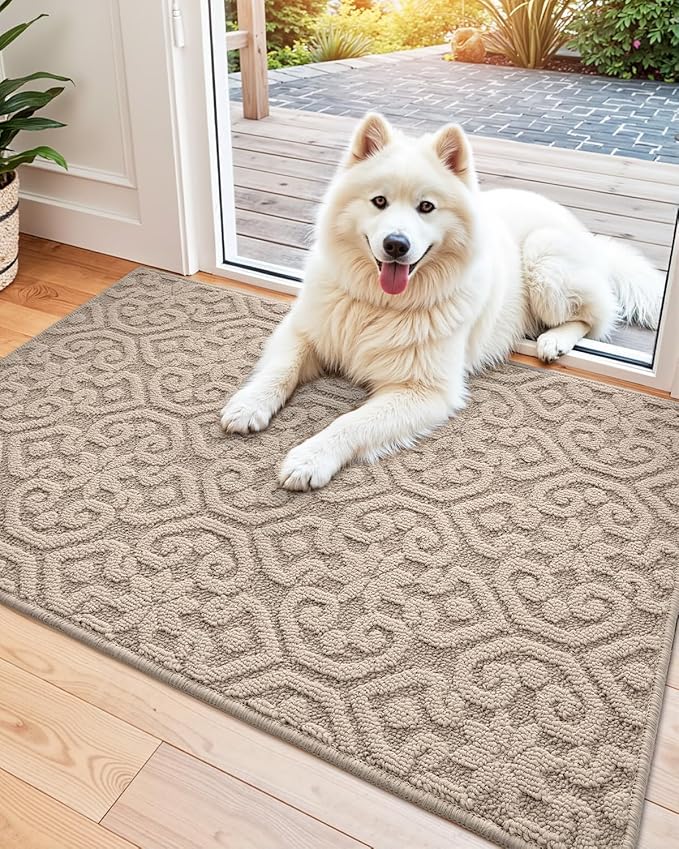 DEXI Front Door Entryway Mat Non Slip, 2x3 ft Washable Inside Entrance for House Floor Low Profile, Thin Entry Doormat Absorbent Dirt Trapper, Light Beige