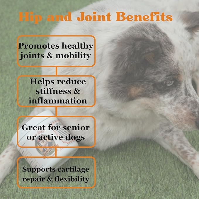 Hip & Joint Support for Dogs – Glucosamine, Chondroitin, MSM & Turmeric for Mobility, Flexibility & Joint Pain Relief – Daily Soft Chews for Senior & Active Dogs – 120 Count
