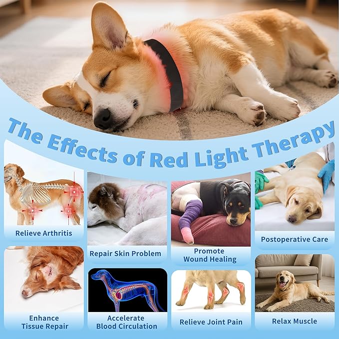 Red Light Therapy Collar for Dog, 660nm & 810nm & 980nm Infrared Red Light Vet Therapy Device for Pet, Cold Laser Therapy Device for Dog Tissue Repair, Pain Relief Arthritis, Promote Blood Circulation