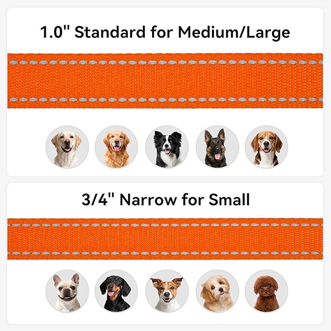 Joytale Dog Leash, 4 FT Double-Sided Reflective, Padded Handle Nylon Heavy Duty Leashes for Medium & Large Dogs Walking, Orange